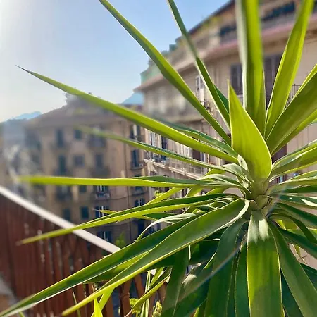 Mamamia #politeama Palermo